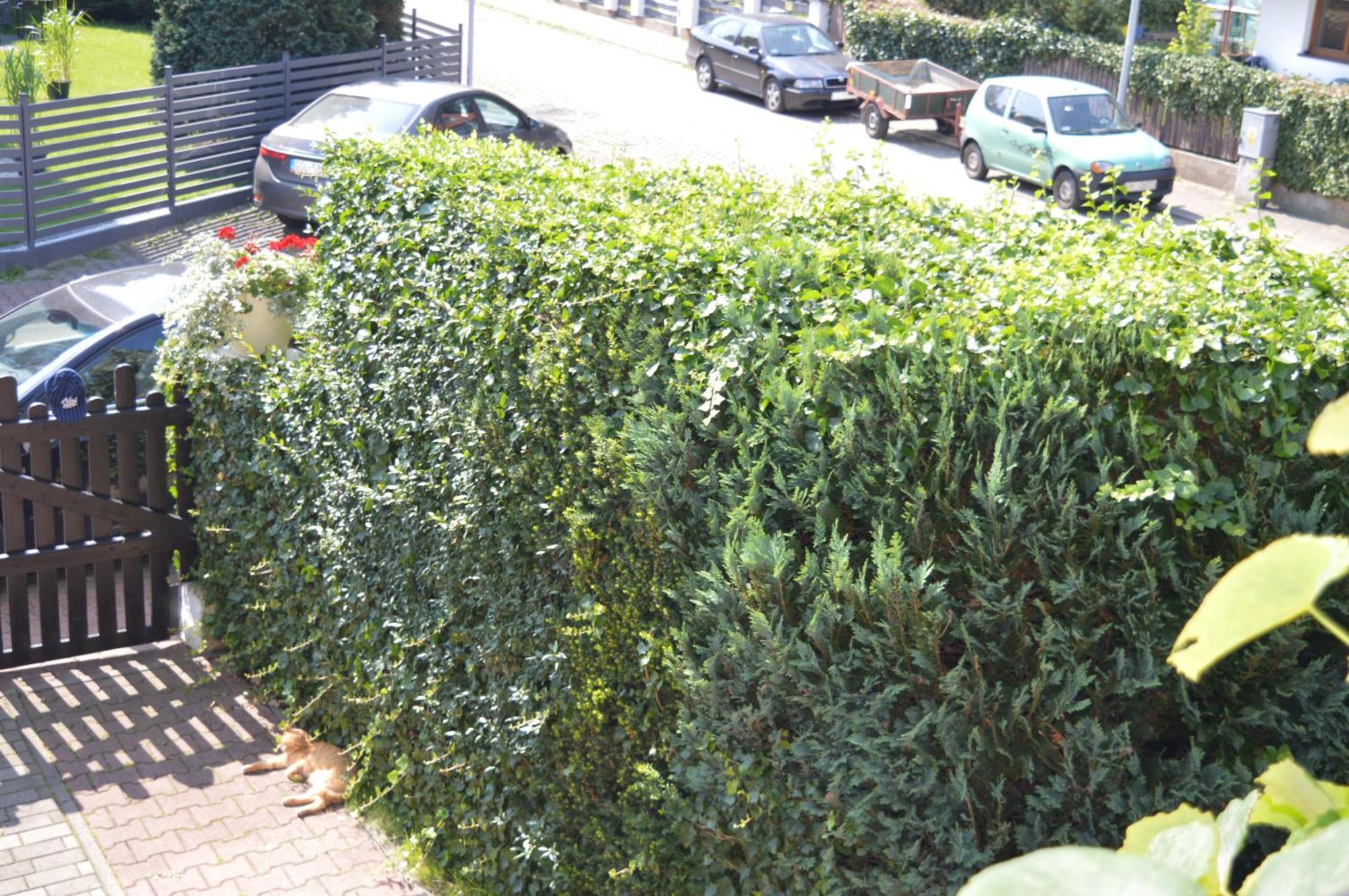 U Piotra Apartment Ustka Bagian luar foto